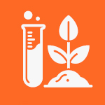 माती चाचणी